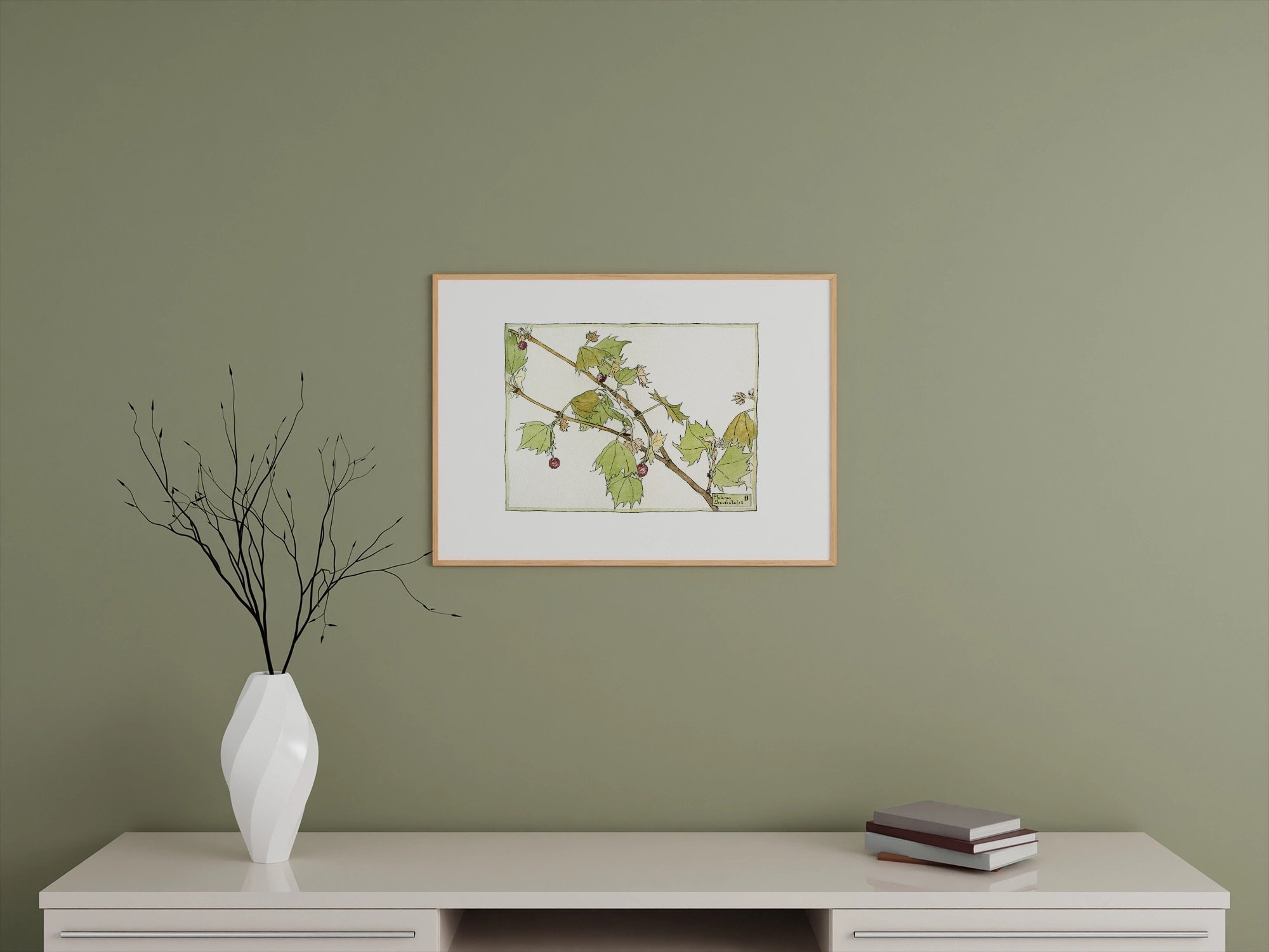 OVERBECK_platanus_occidentalus_MU2.jpeg