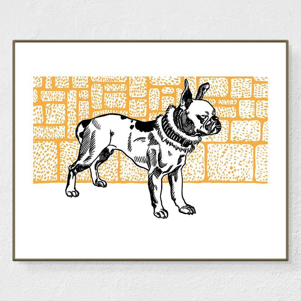 Pitbull terrier - Affiche Moriz Jung