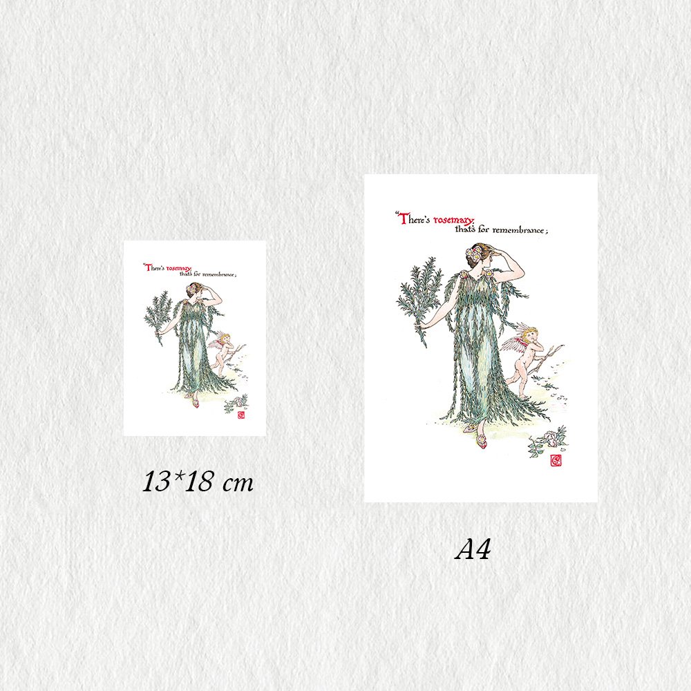 CRANE_rosemary_MIN3.jpg