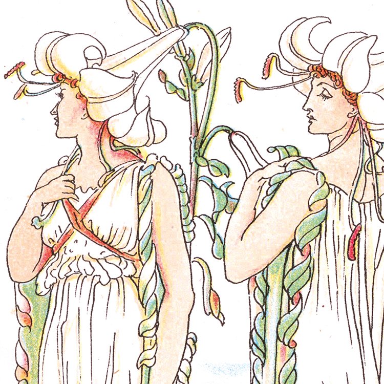 CRANE_lilies_MIN2.jpg
