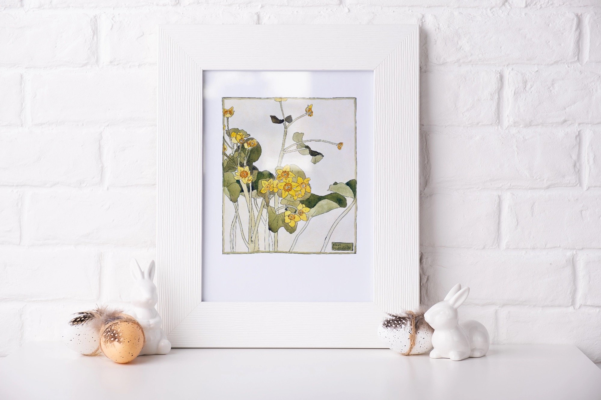 OVERBECK_marsh_marigold_MU3 (2).jpeg