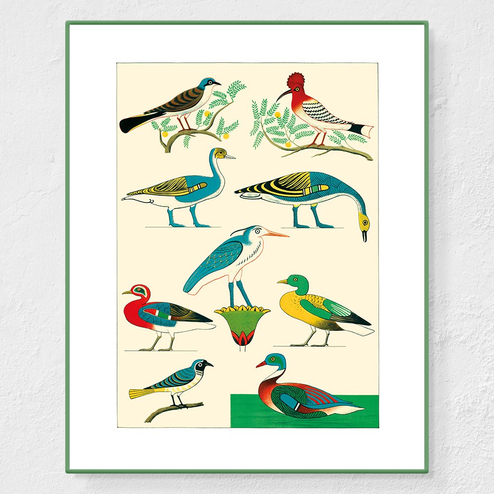 Oiseaux 3 - Affiche Jean-François Champollion