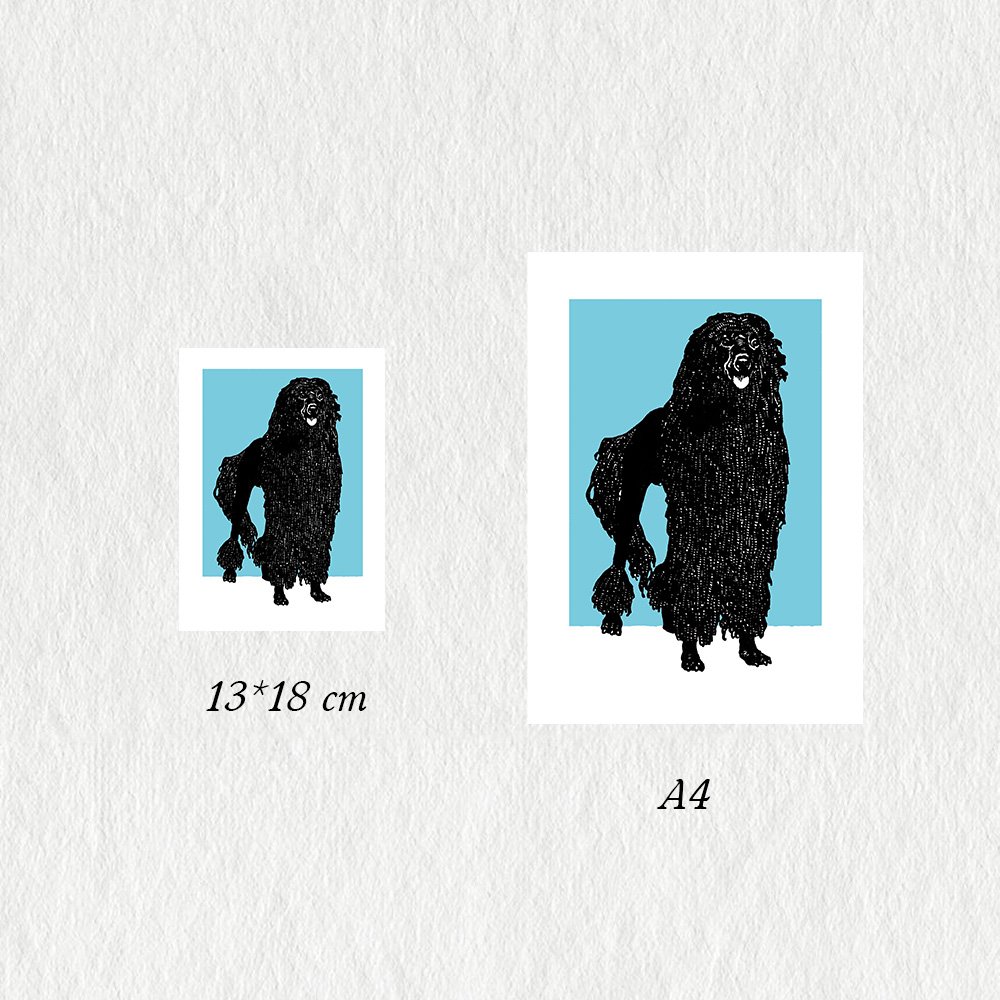 JUNG_poodle_MIN3.jpg