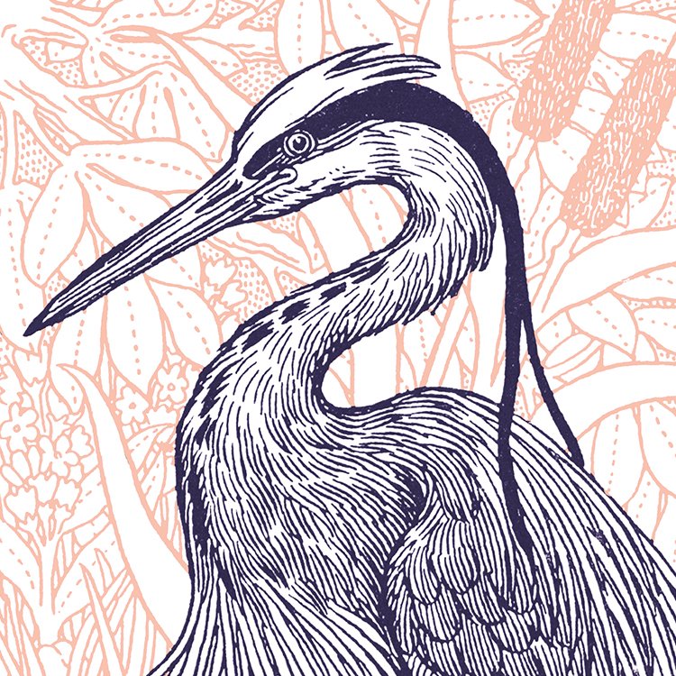BILINGHURST_the_heron_MIN2.jpg