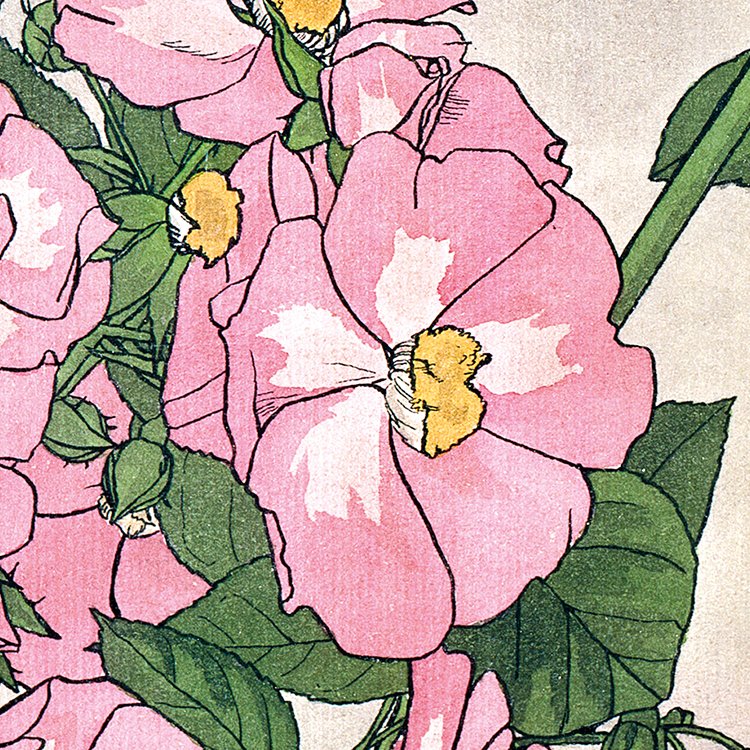 OVERBECK_prairie_rose_MIN2.jpg
