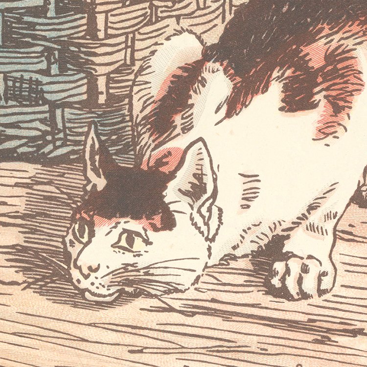 CALDECOTT_the_cat_MIN2.jpg