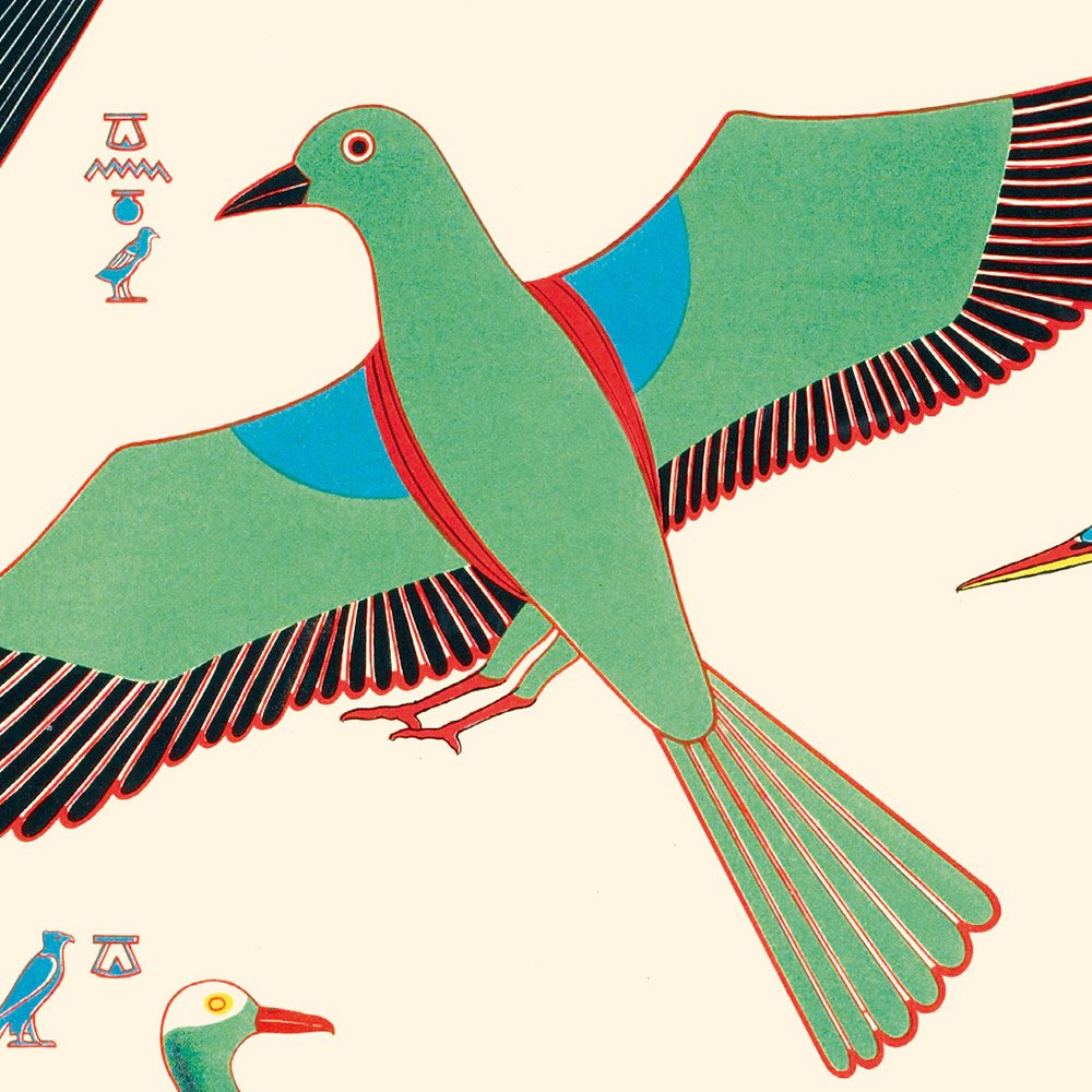 CHAMPOLLION_oiseaux1_MIN2.jpg