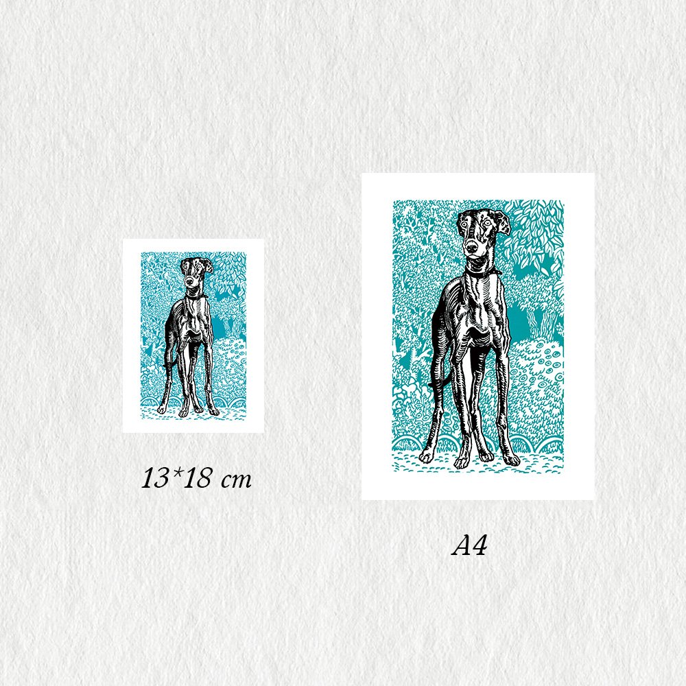 JUNG_greyhound_MIN3.jpg