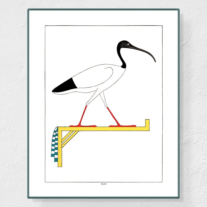 Ibis - Affiche Léon Jean Joseph Dubois