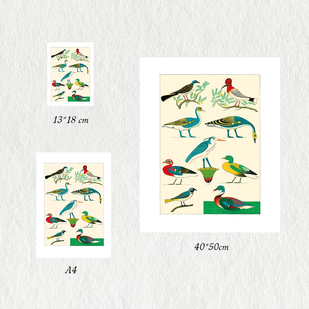 CHAMPOLLION_oiseaux3_MIN3.jpg