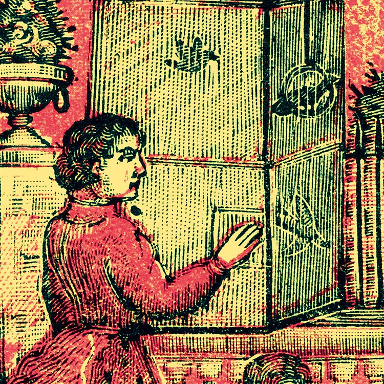 POSADA_la_cria_de_canarios_MIN2.jpg