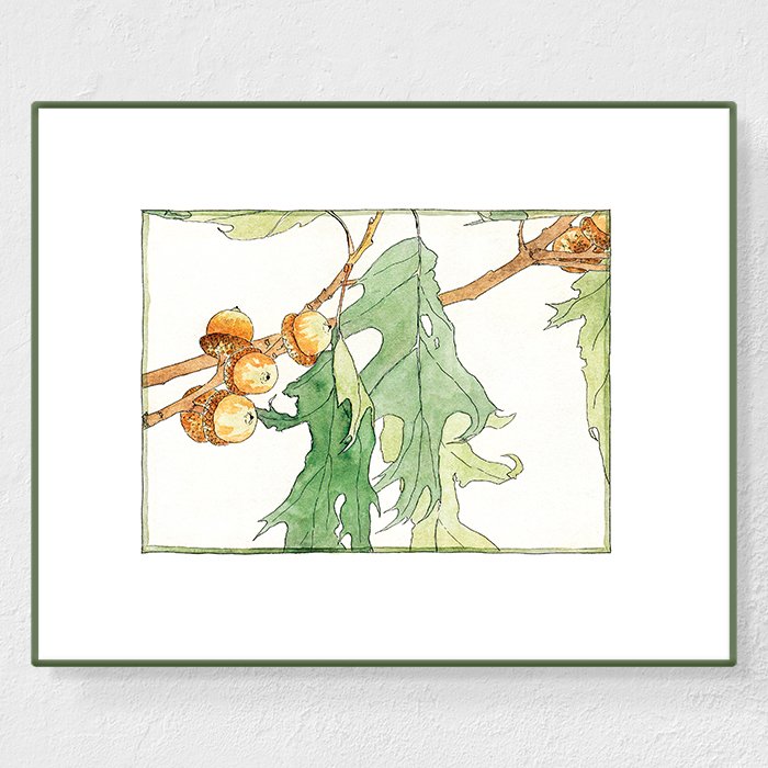 Oak - Affiche Hannah Overbeck