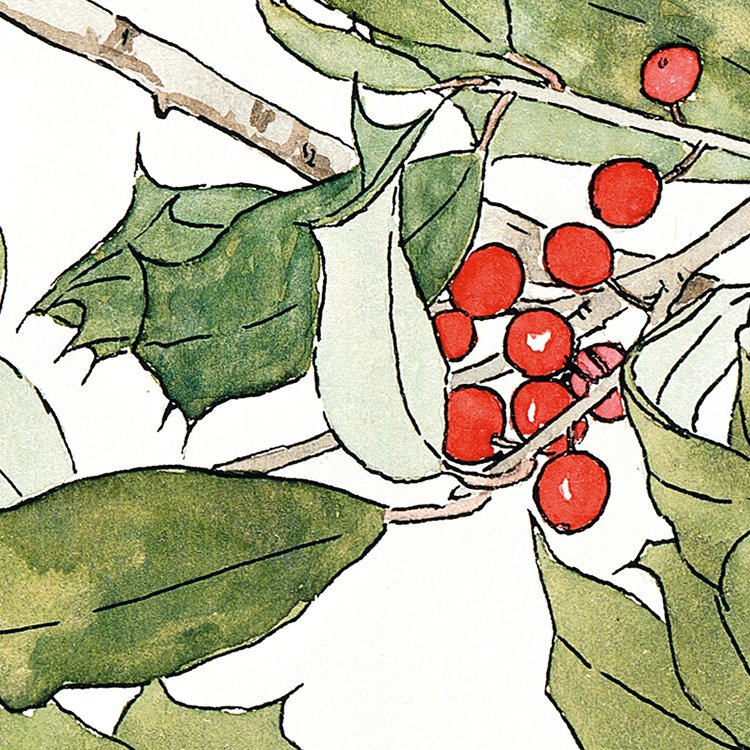 OVERBECK_holly_MIN2.jpg