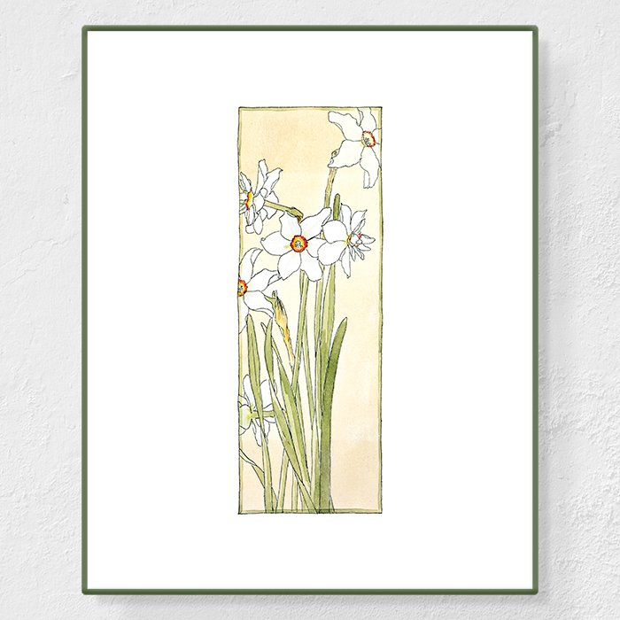 Poets narcissus - Affiche Hannah Overbeck