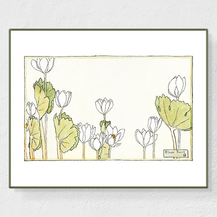 Blood root - Affiche Hannah Overbeck