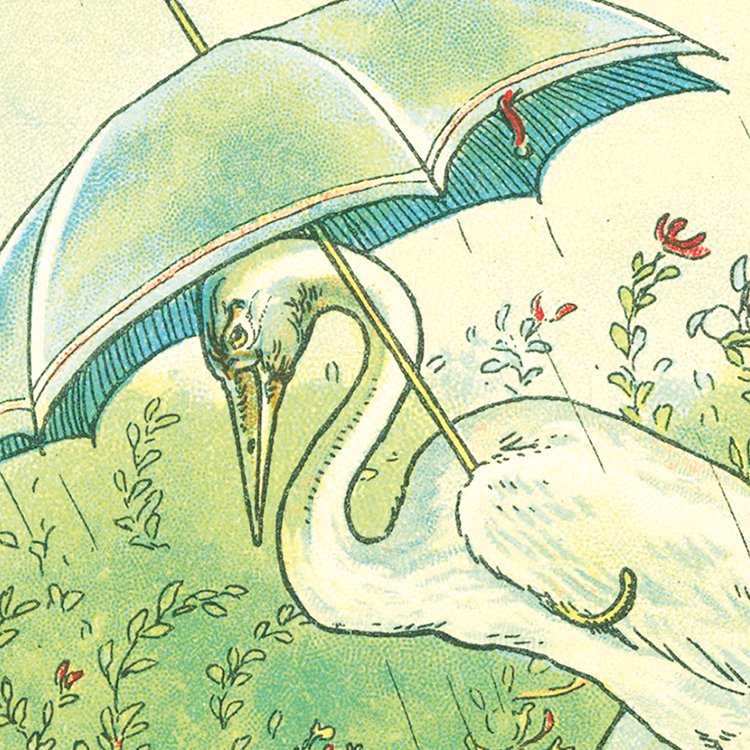 BROOKE_crane_and_crow_MIN2.jpg