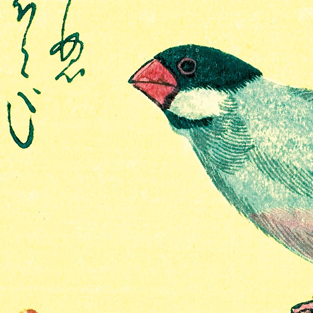 UTAGAWA_padda_de_java_MIN2.jpg