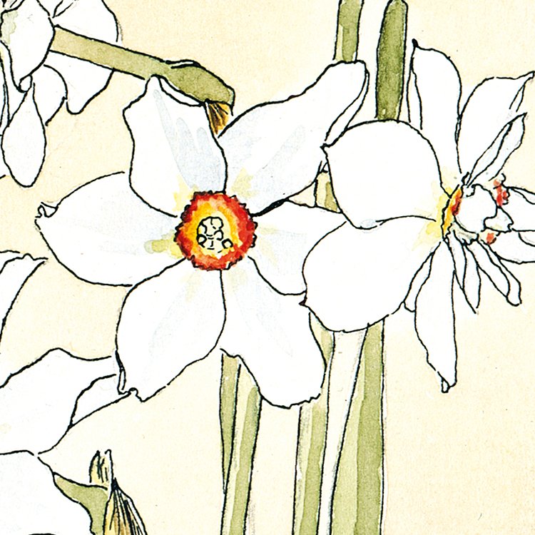 OVERBECK_poets_narcissus_MIN2.jpg