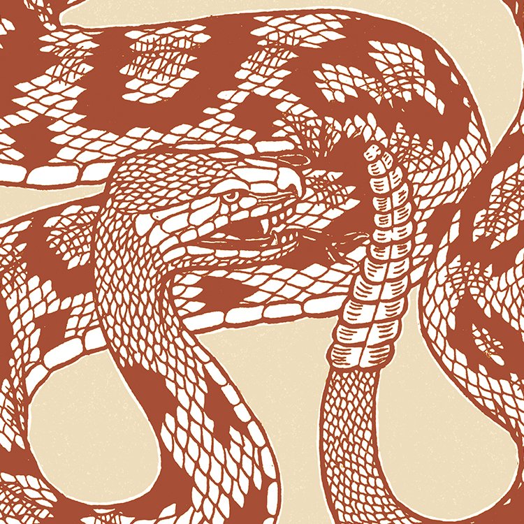 BILINGHURST_the_serpent_MIN2.jpg