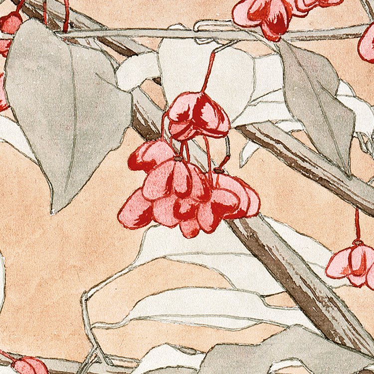 OVERBECK_burning_bush_MIN2.jpg