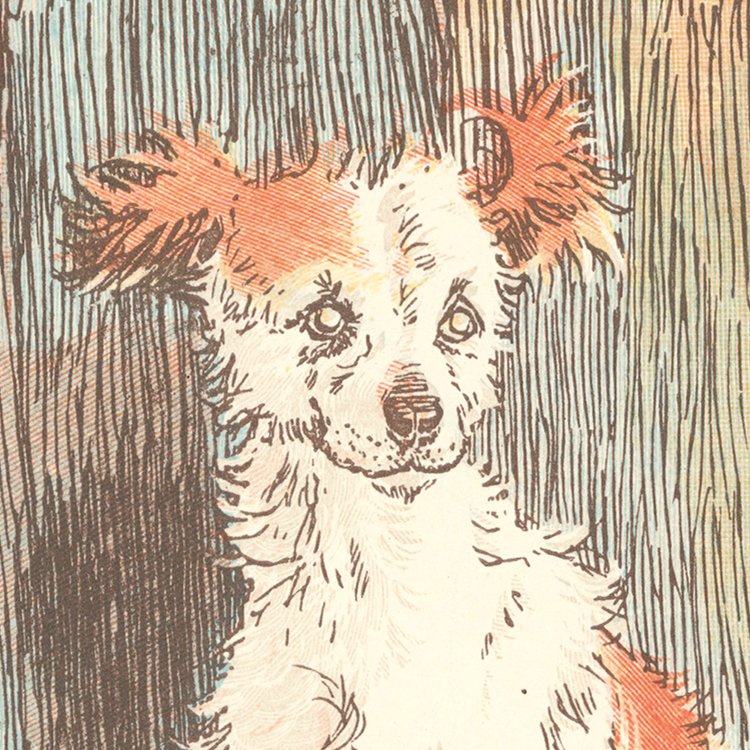 CALDECOTT_the_mad_dog_MIN2.jpg