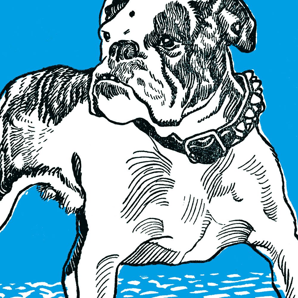 JUNG_bulldog_MIN2.jpg