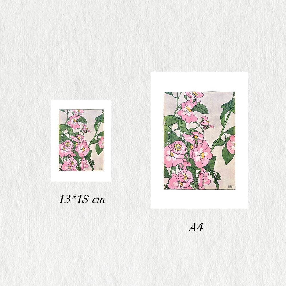 BORGER_prairie_rose_MIN3.jpg