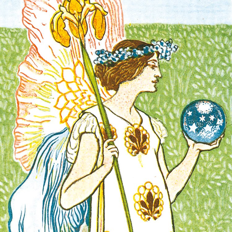 CRANE_floral_fantasy_MIN2.jpg