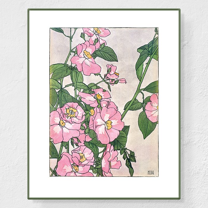 Prairie rose - Affiche Hannah Overbeck