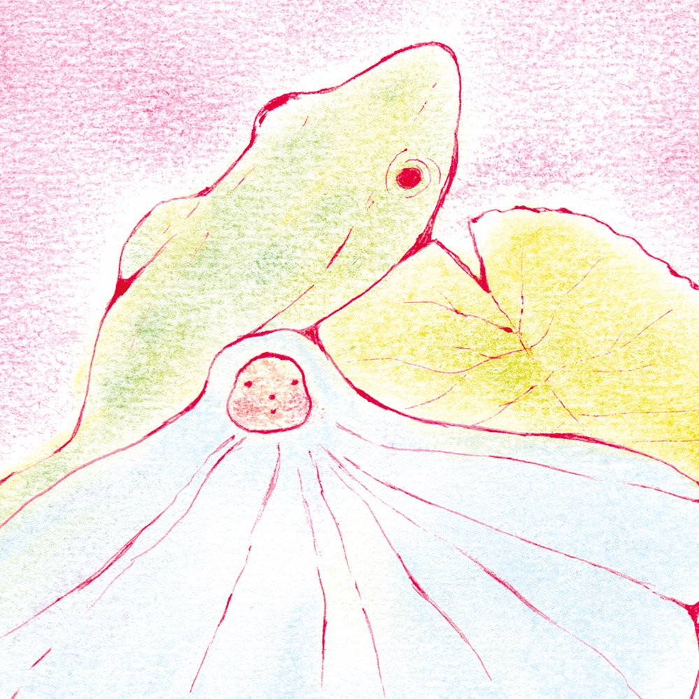 _BARRIER_grenouille_MIN2.jpg