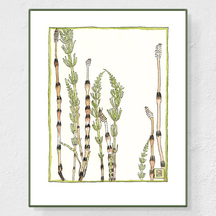 Horsetail - Affiche Hannah Overbeck