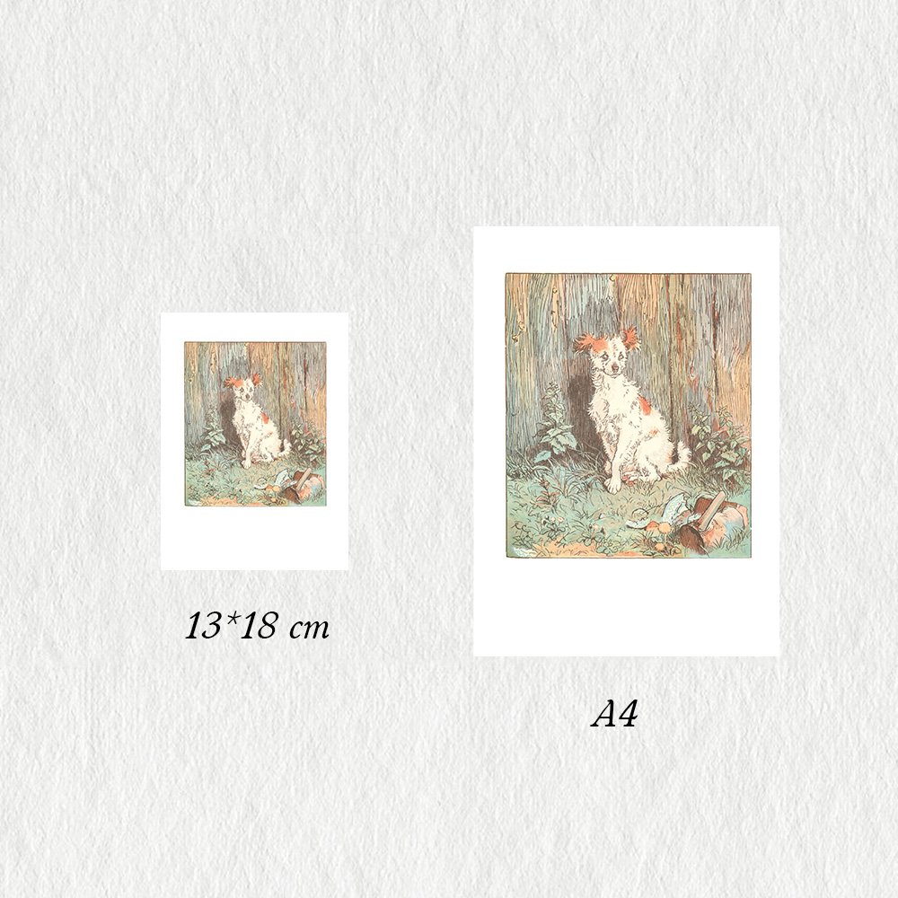CALDECOTT_the_mad_dog_MIN3.jpg