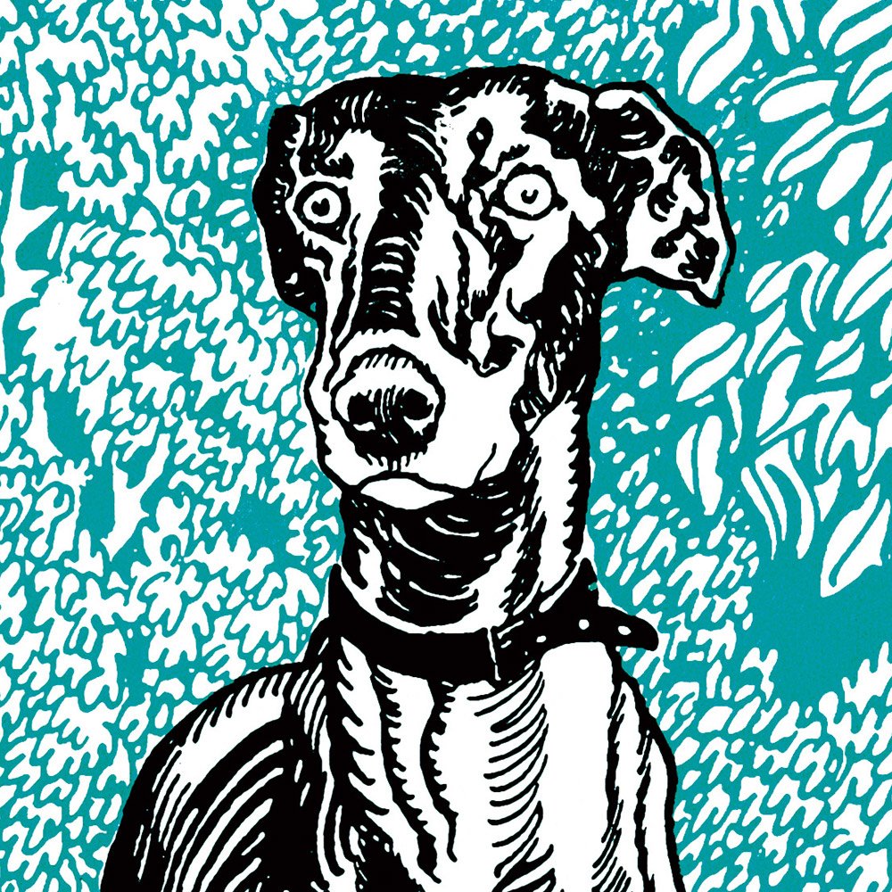 JUNG_greyhound_MIN2.jpg