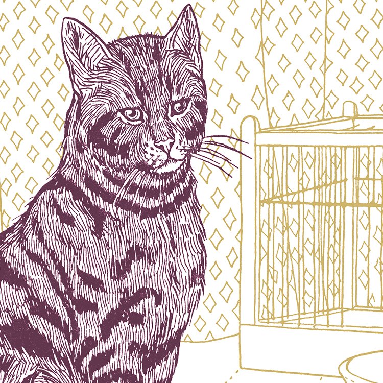 BILINGHURST_the_cat_MIN2.jpg