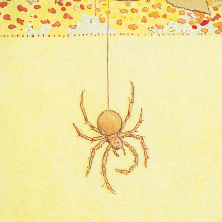BROOKE_spider_MIN2.jpg