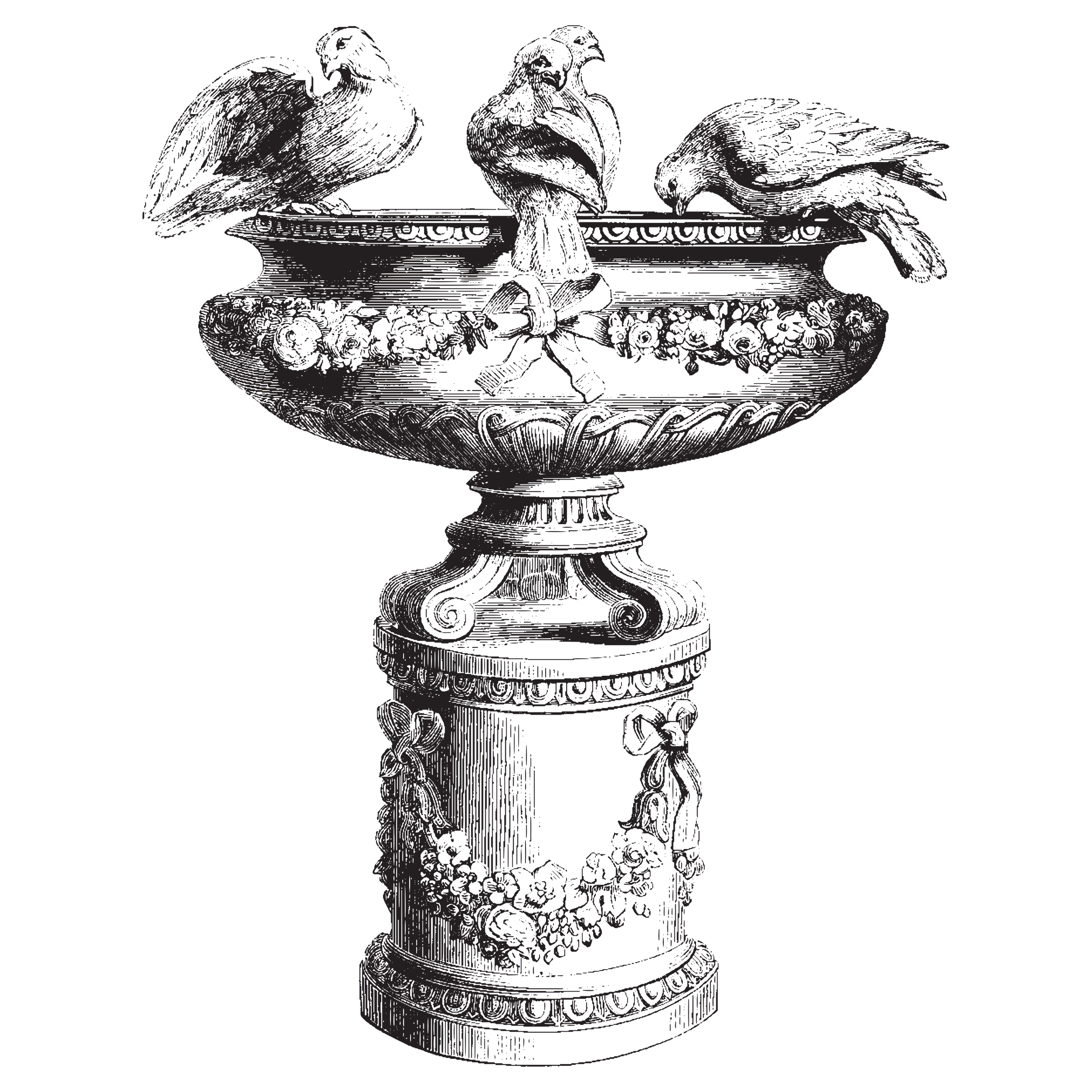 Bird Bath