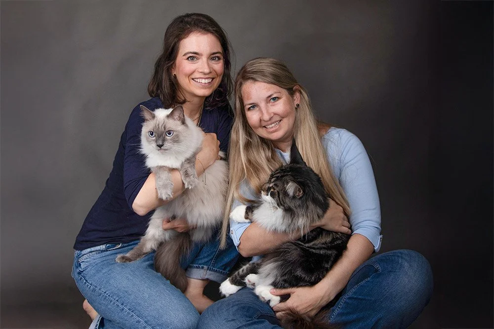 Menschen mit Katzen