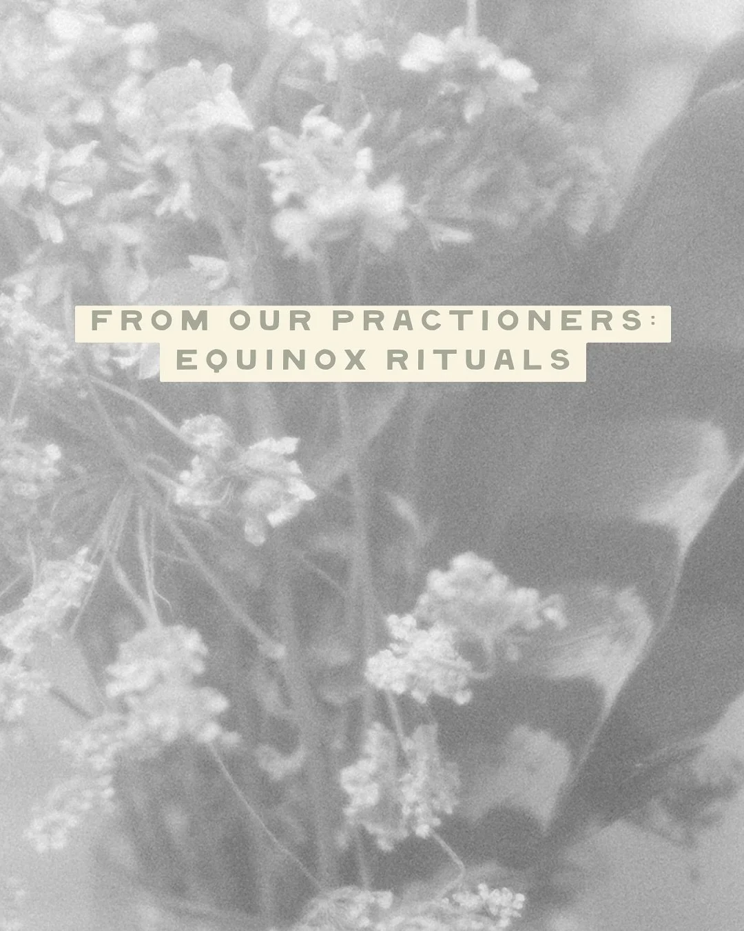 As day and night meet in even measure, the autumnal equinox arrives 🌗✨

Our practitioners are sharing simple rituals - ways of pausing, tending and finding balance as autumn unfolds.

P.S. It&rsquo;s not too late to join us tonight for Toward the Wi