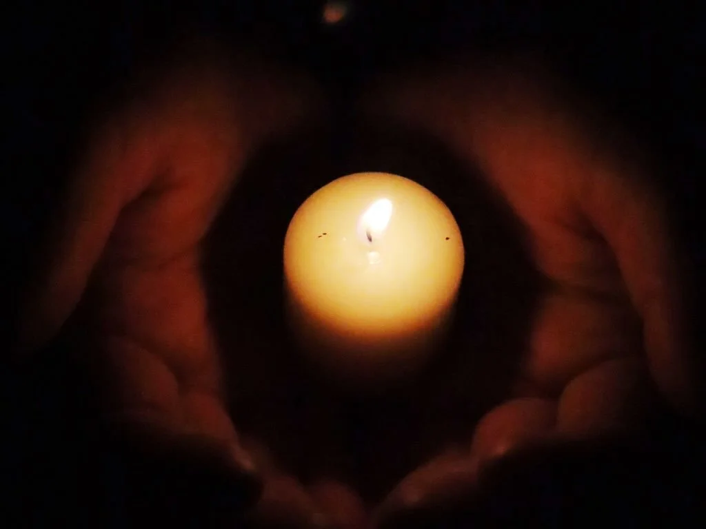 Winter gets quiet on purpose.
Trees draw their energy inward.
Animals rest.
Water slows under ice.

We&rsquo;re part of that same rhythm, even if we&rsquo;ve learned to override it. The world doesn&rsquo;t actually ask us to do more right now. Our co