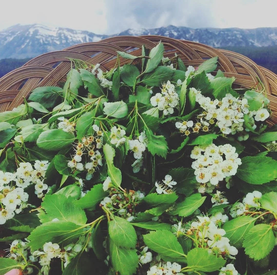 Sacred Union: A Beltane Ceremony