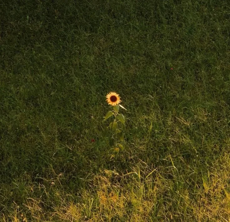 5 ways to encounter God in the simplicity of life