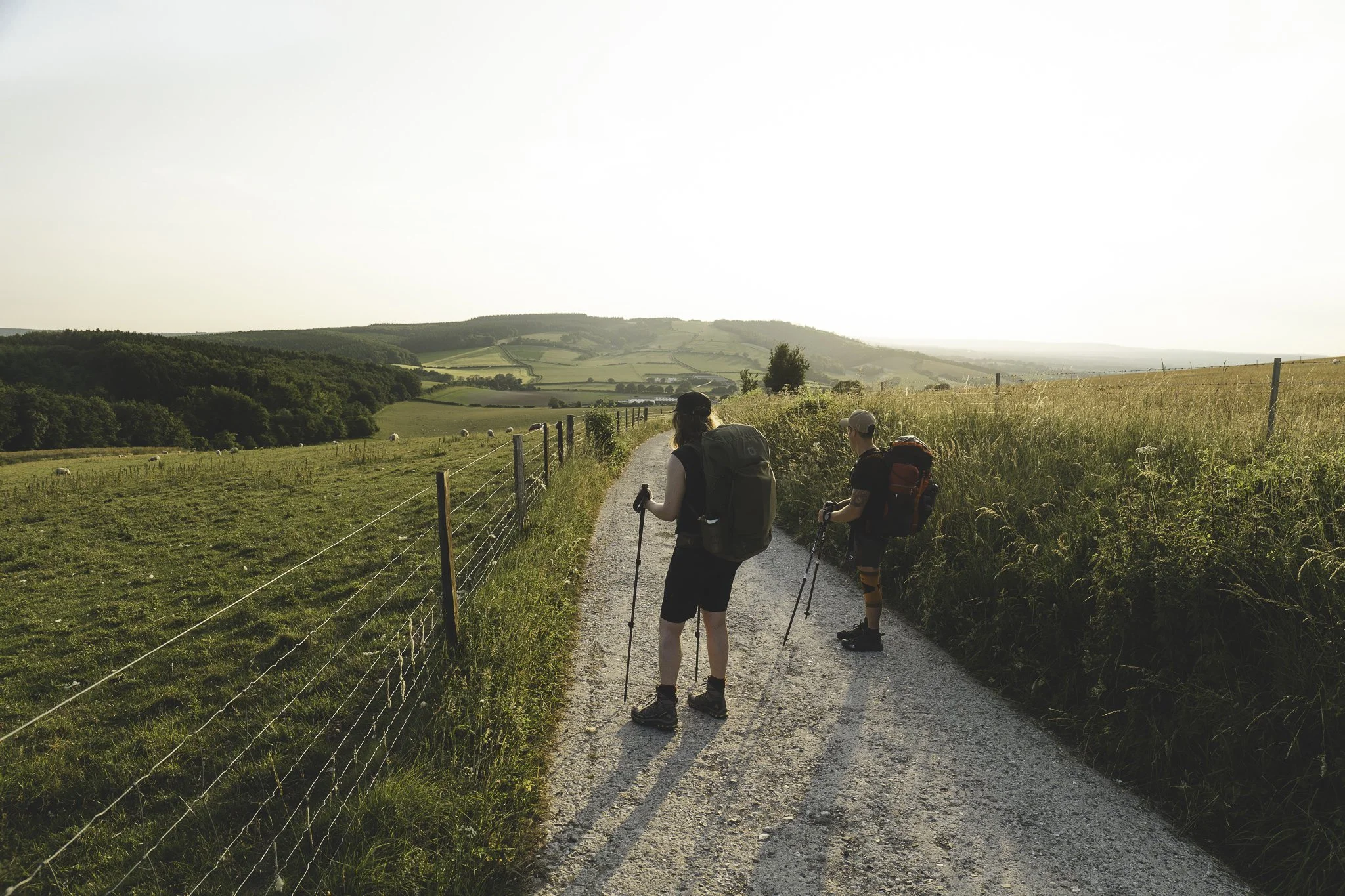 Two hikers with backpacks and trekking poles walking along a gravel trail in a rural countryside with rolling green hills and fields at sunset.