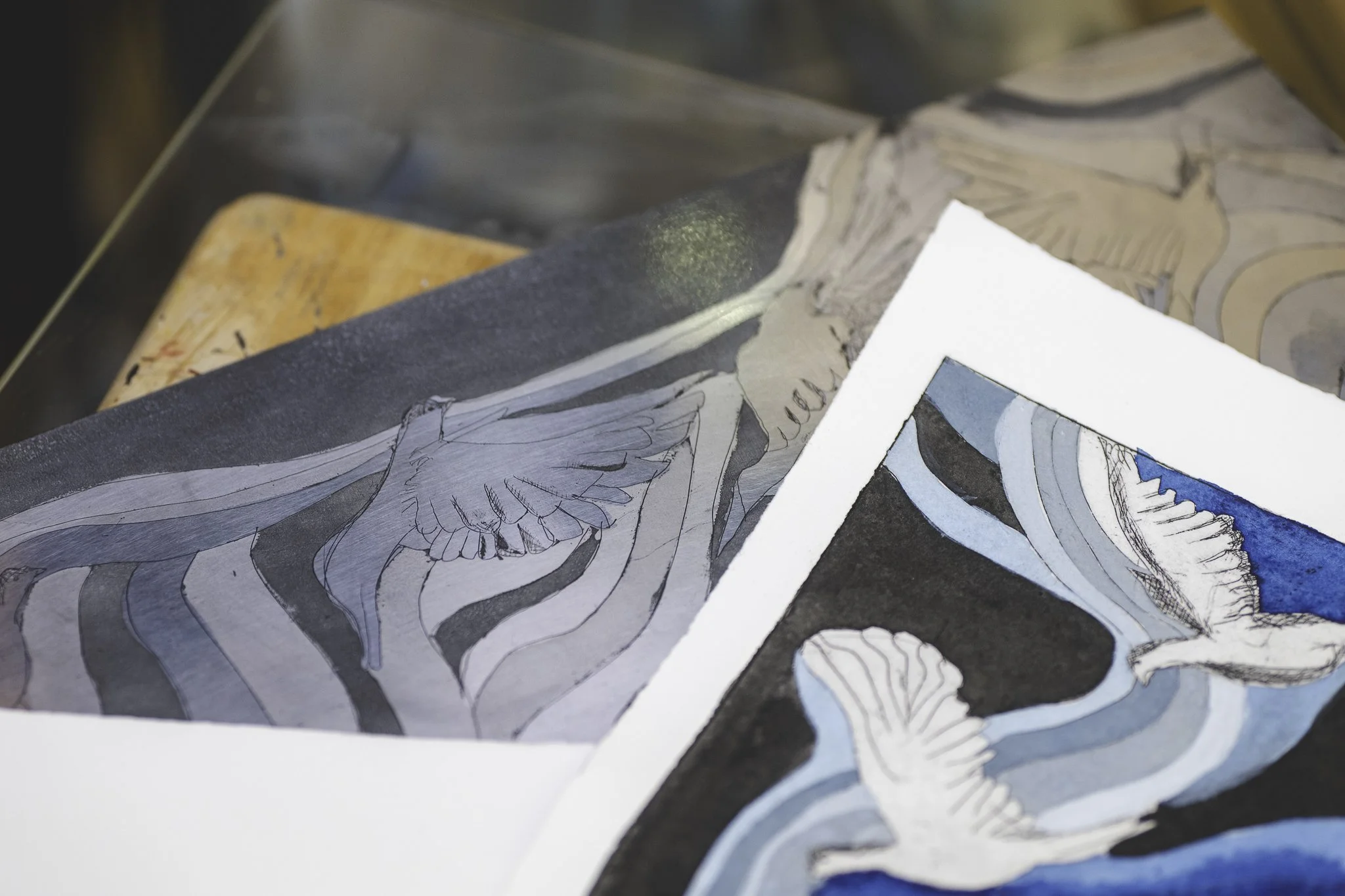 Close-up of artwork sketches and paintings of birds, with flowing lines and shades of blue, gray, and black.