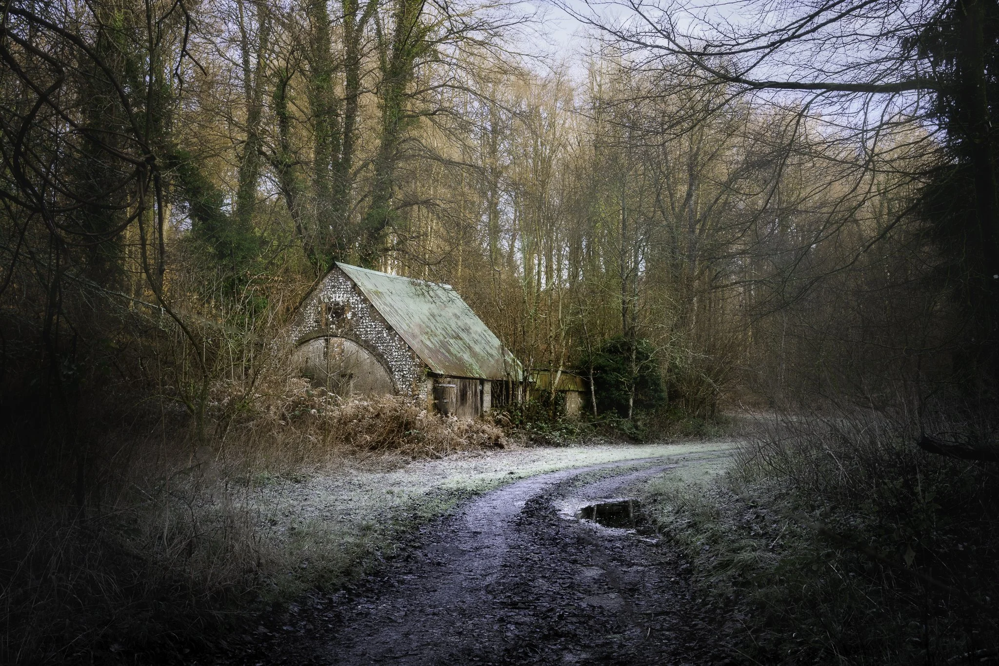 An old, rustic barn in a wooded area with leafless trees. The barn has a rusted, greenish metal roof and weathered wooden walls. A winding dirt path runs in front of the barn, with a small puddle reflecting the sky. The scene has a slightly foggy, mi