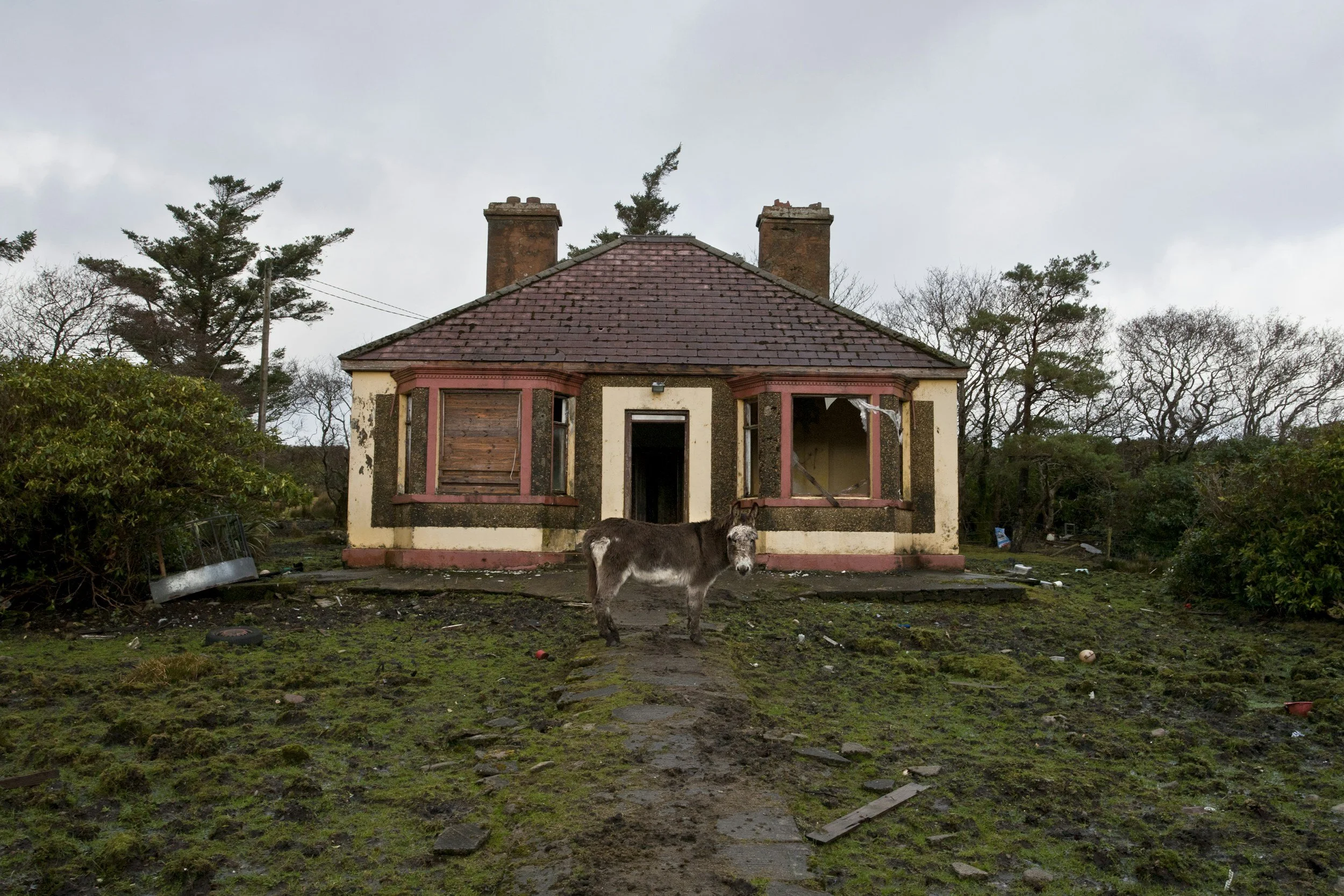 Buying a Fixer-Upper in Nevada County: Benefits, Risks and What to Inspect