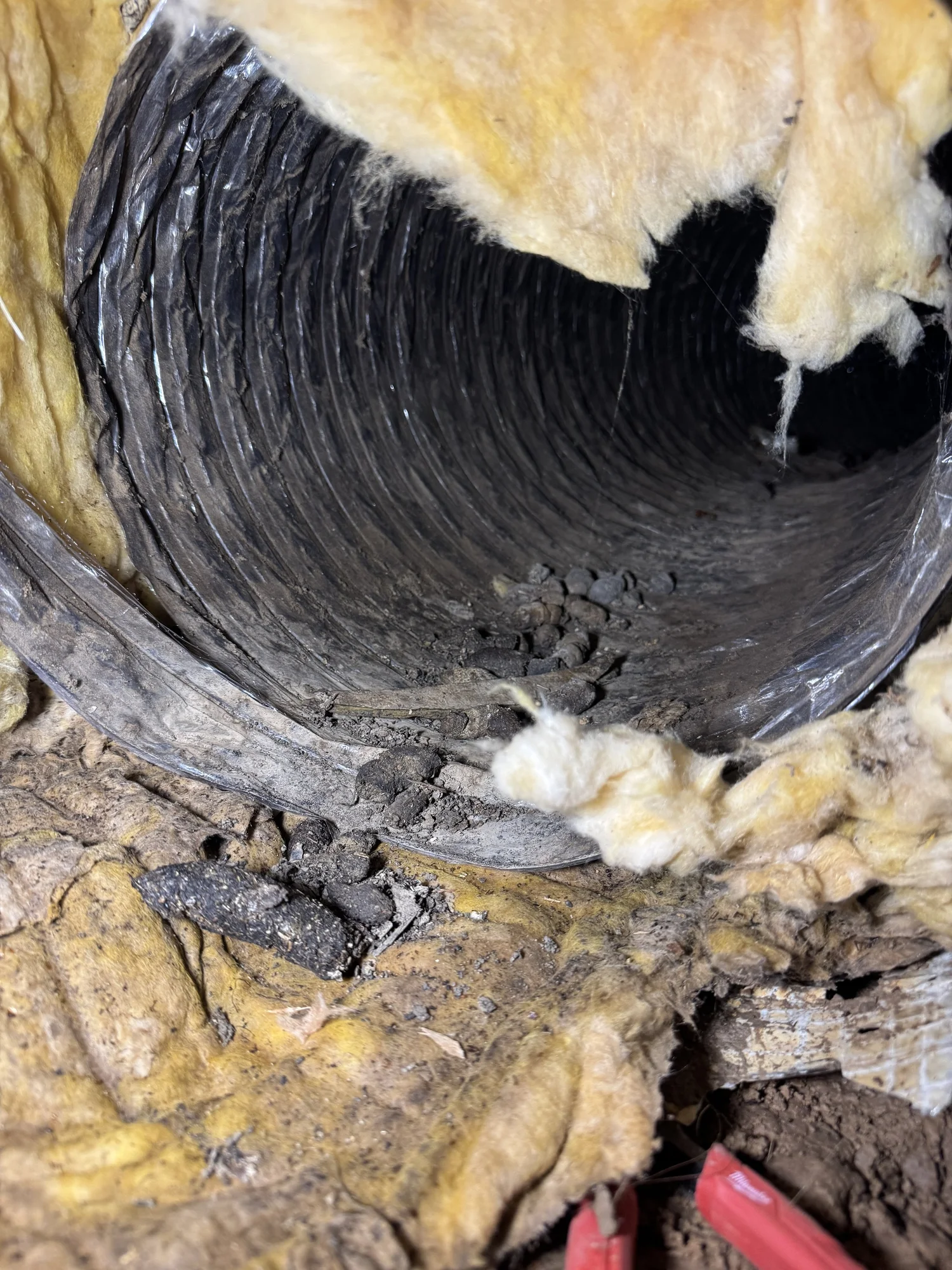 Damaged flex duct replacement in an attic by Clark HVAC