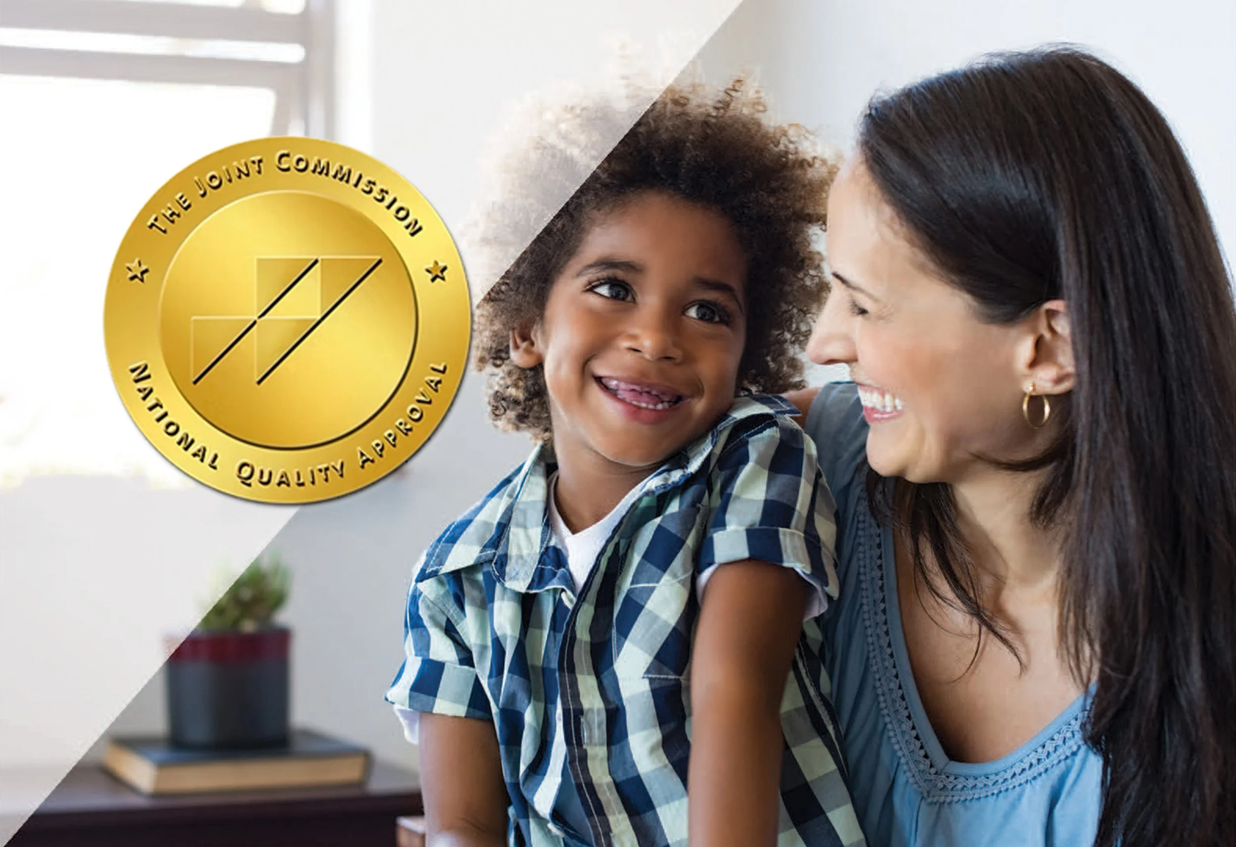 The Joint Commission