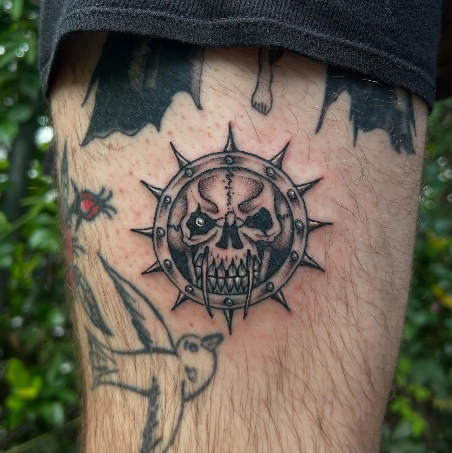 D97B3F99-2C8C-4F82-AE16-3339B2232DA4.JPG