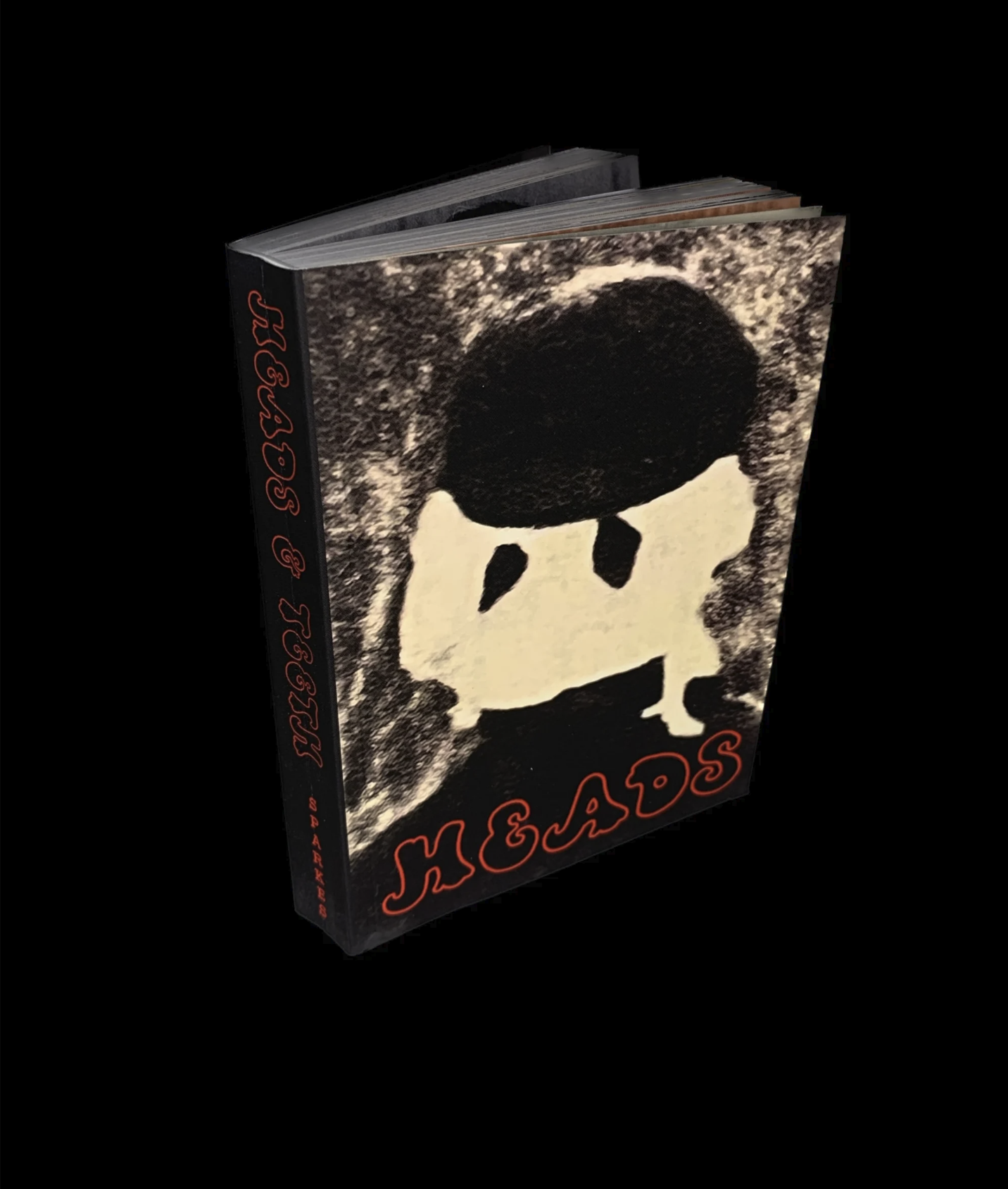 Heads and Teeth Book2.png