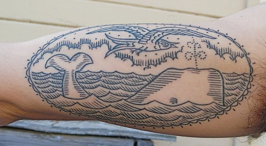 whalebird2_4923427590_o.jpg